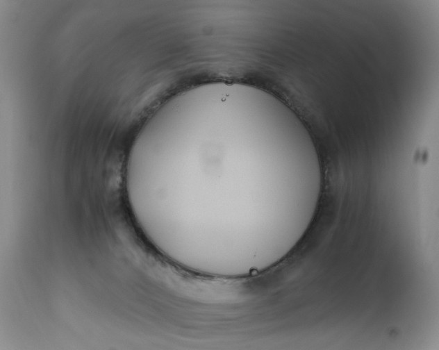 X0000110930032200907021534