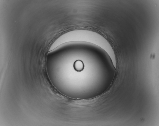 X0000110930033200907021534