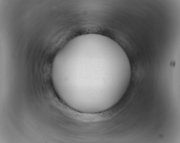 X0000110930034200907021534