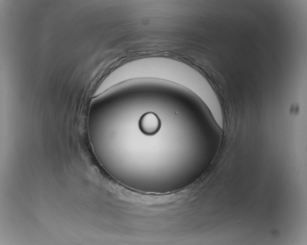 X0000110930035200907021534