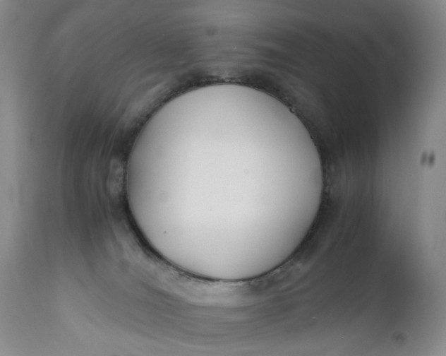 X0000110930036200907021534