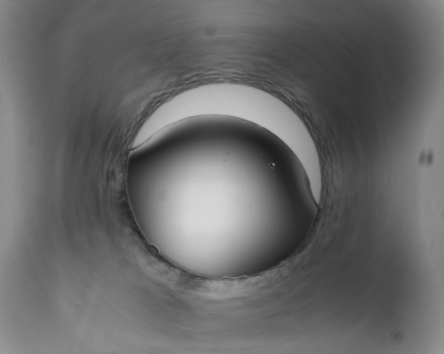 X0000110930037200907021534