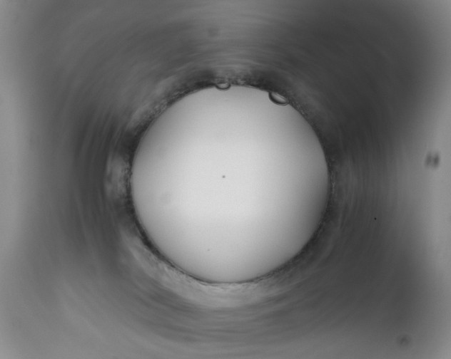 X0000110930038200907021534