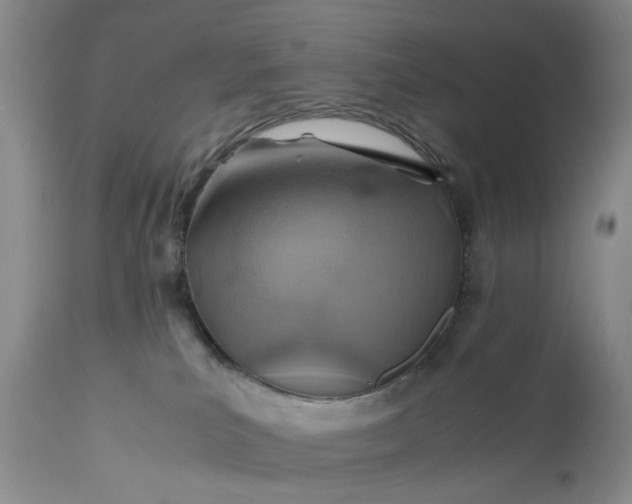 X0000110930039200907021534
