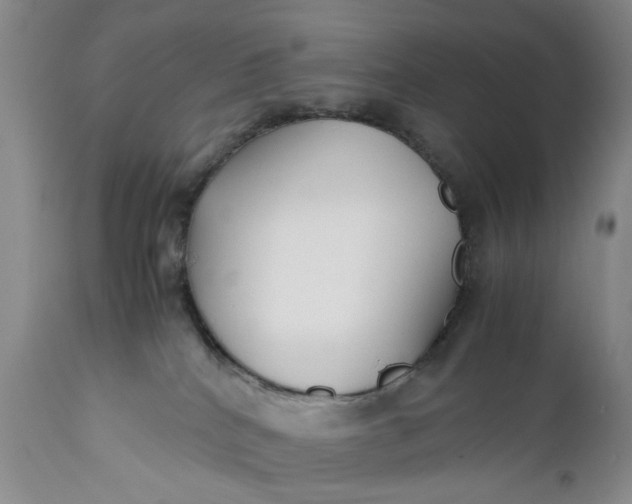X0000110930040200907021534