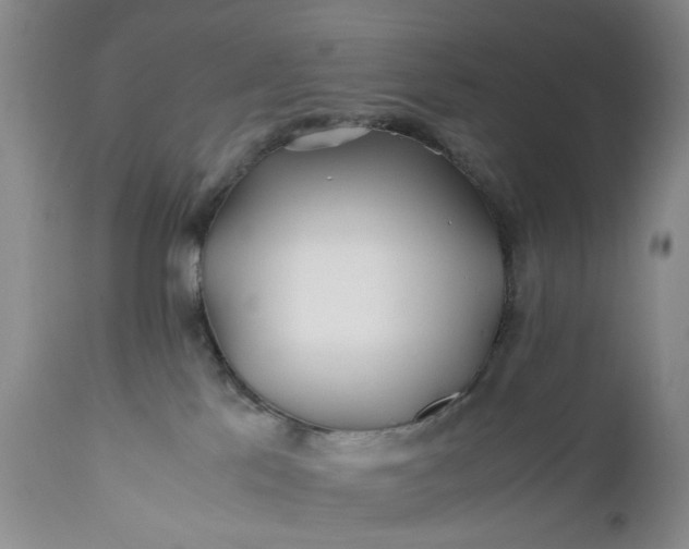 X0000110930041200907021534