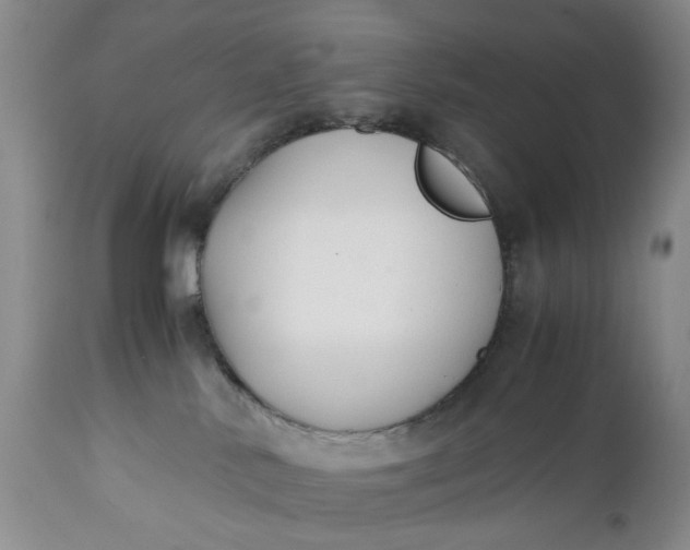 X0000110930042200907021534