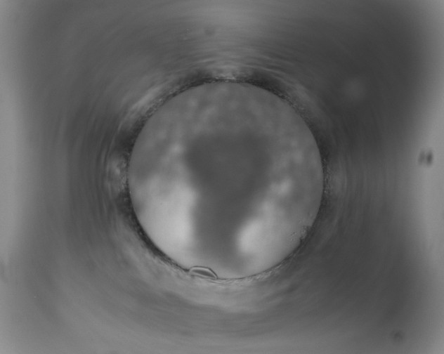X0000110930043200907021534
