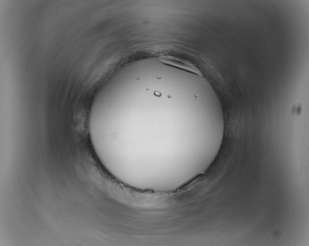 X0000110930044200907021534