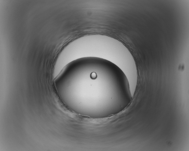 X0000110930045200907021534