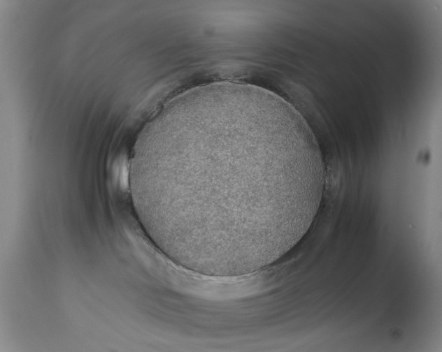 X0000110930046200907021534