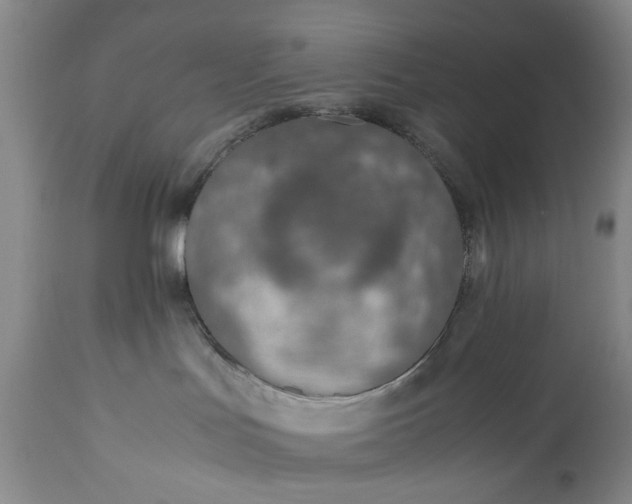 X0000110930047200907021534