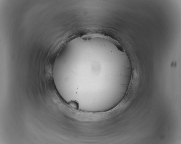 X0000110930048200907021534