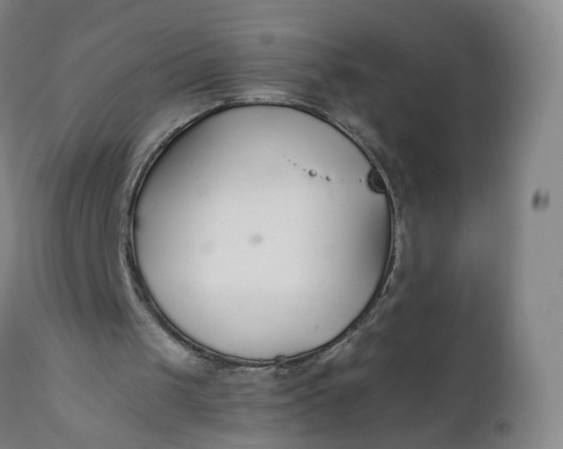 X0000110930049200907021533