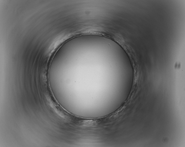 X0000110930050200907021533
