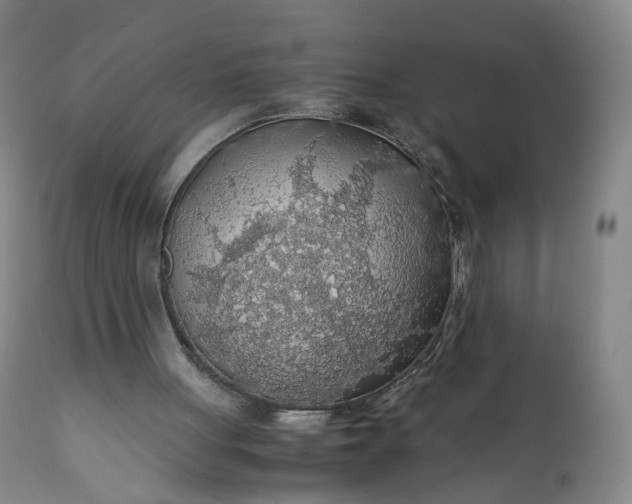 X0000110930051200907021533