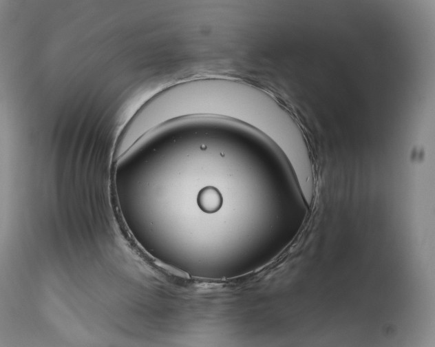 X0000110930052200907021533
