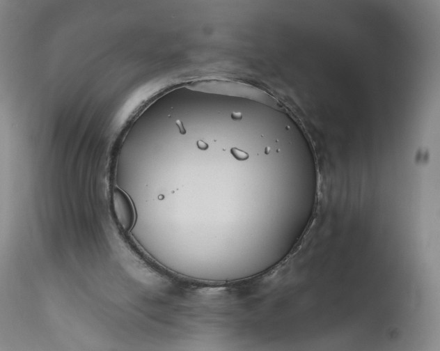 X0000110930054200907021533