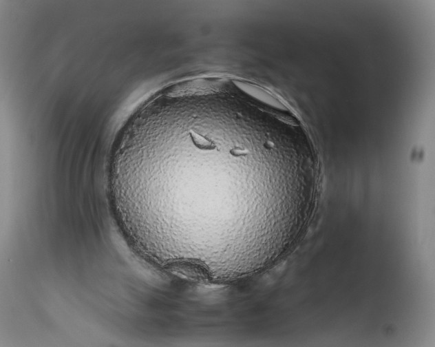X0000110930055200907021533