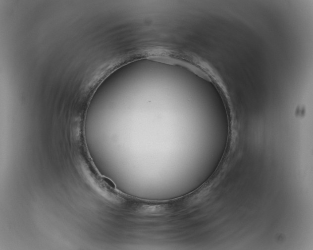 X0000110930057200907021533