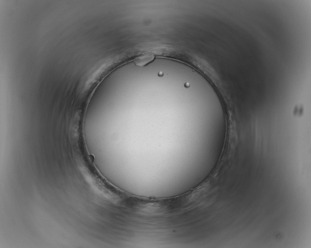 X0000110930058200907021533