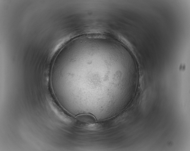 X0000110930059200907021533