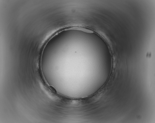 X0000110930060200907021533