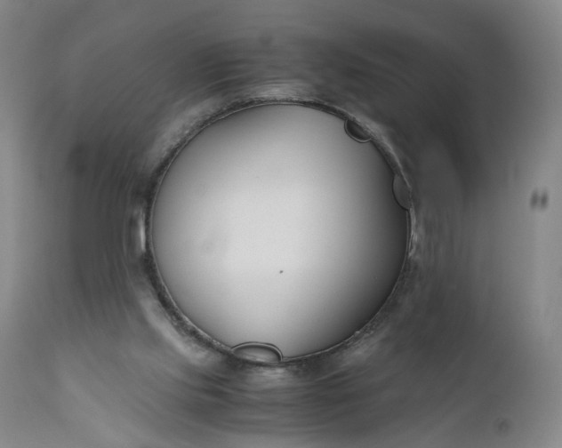X0000110930061200907021533