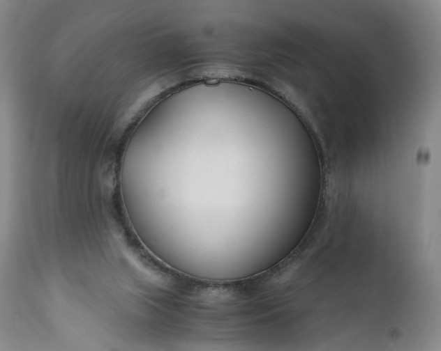 X0000110930063200907021533