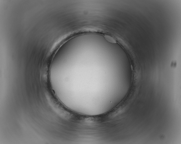 X0000110930064200907021533