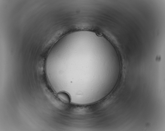 X0000110930065200907021533