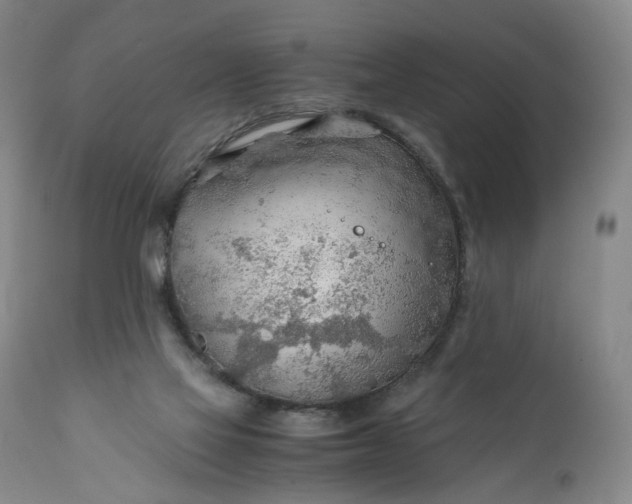 X0000110930069200907021533