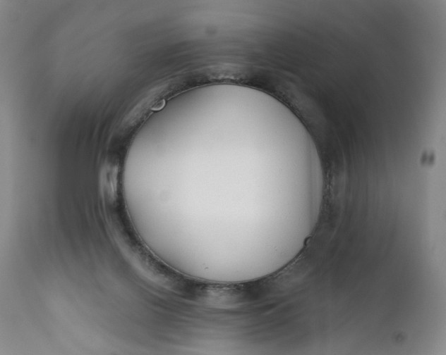 X0000110930070200907021533
