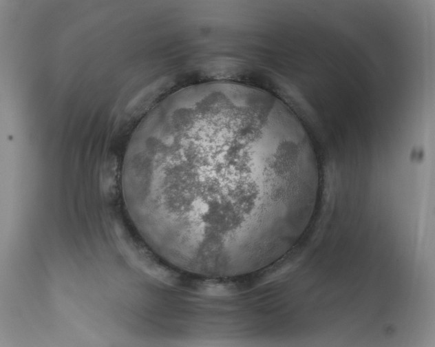 X0000110930073200907021533