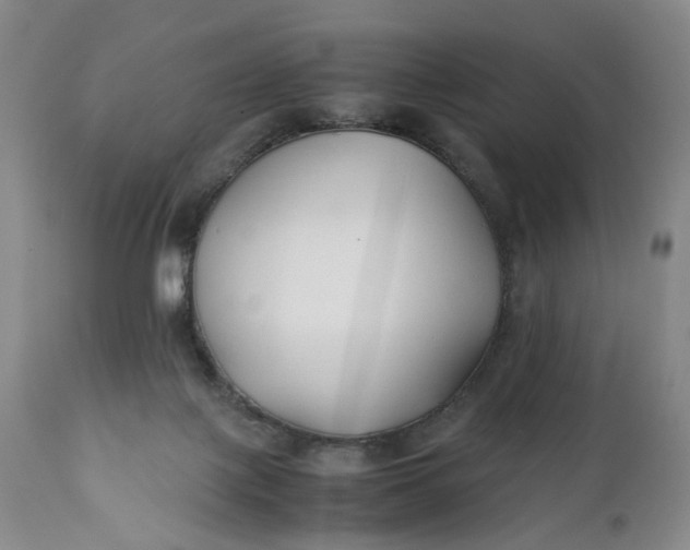 X0000110930075200907021533
