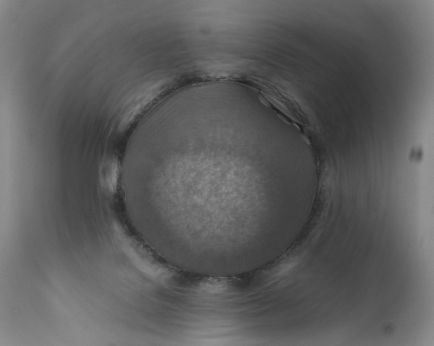 X0000110930076200907021533