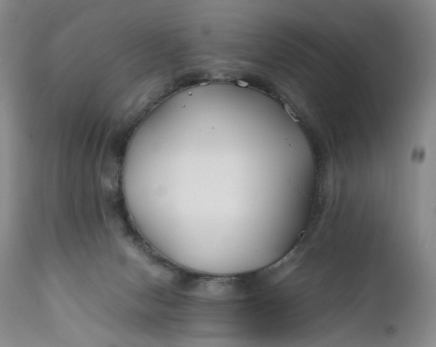 X0000110930078200907021533