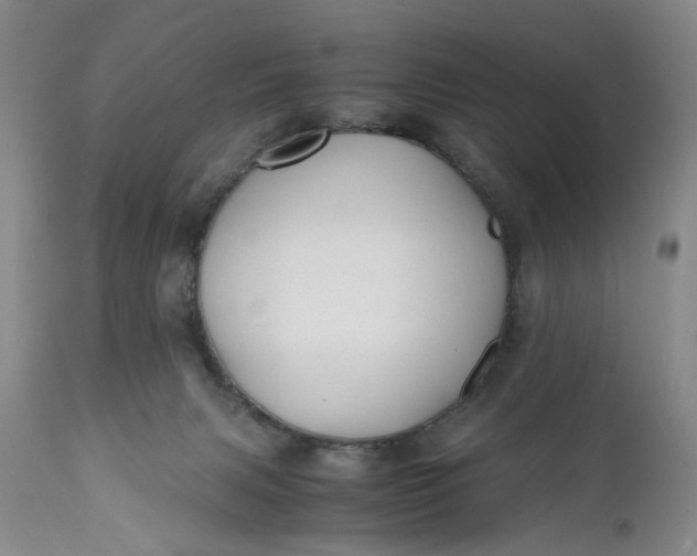 X0000110930079200907021533