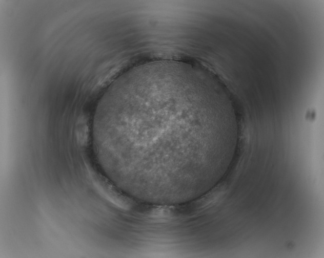 X0000110930080200907021533