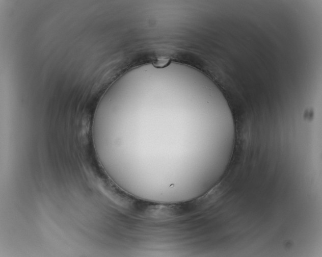 X0000110930082200907021533