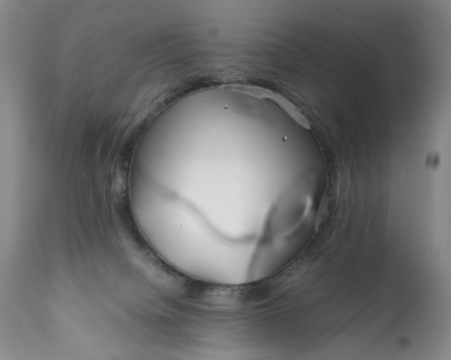 X0000110930084200907021534
