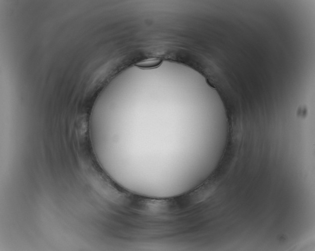 X0000110930085200907021534