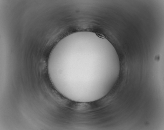 X0000110930087200907021534