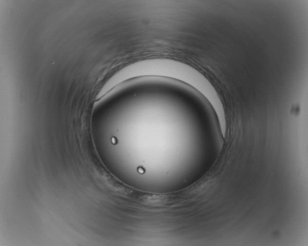 X0000110930088200907021534
