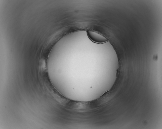 X0000110930089200907021534