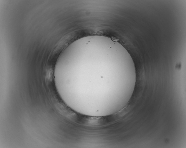 X0000110930090200907021534