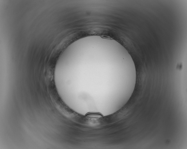 X0000110930091200907021534