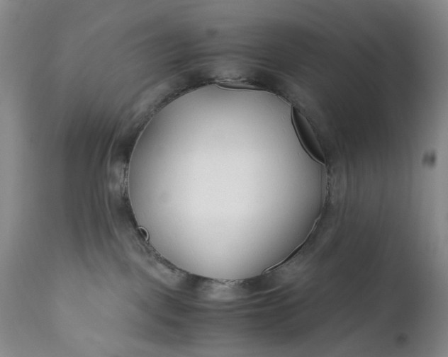 X0000110930093200907021534