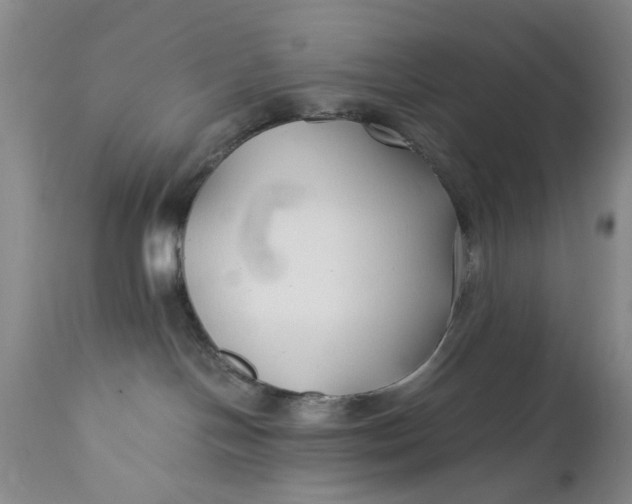 X0000110930094200907021534