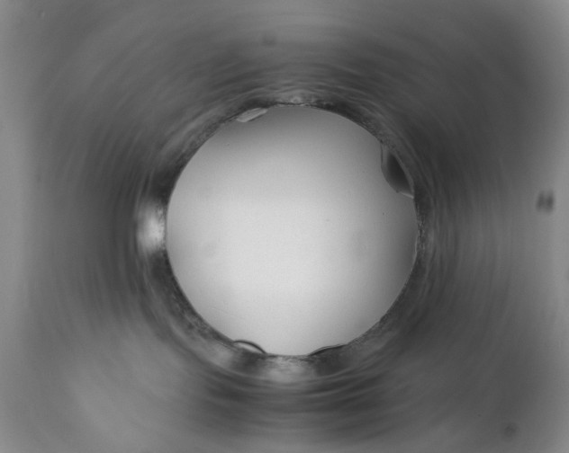 X0000110930095200907021534